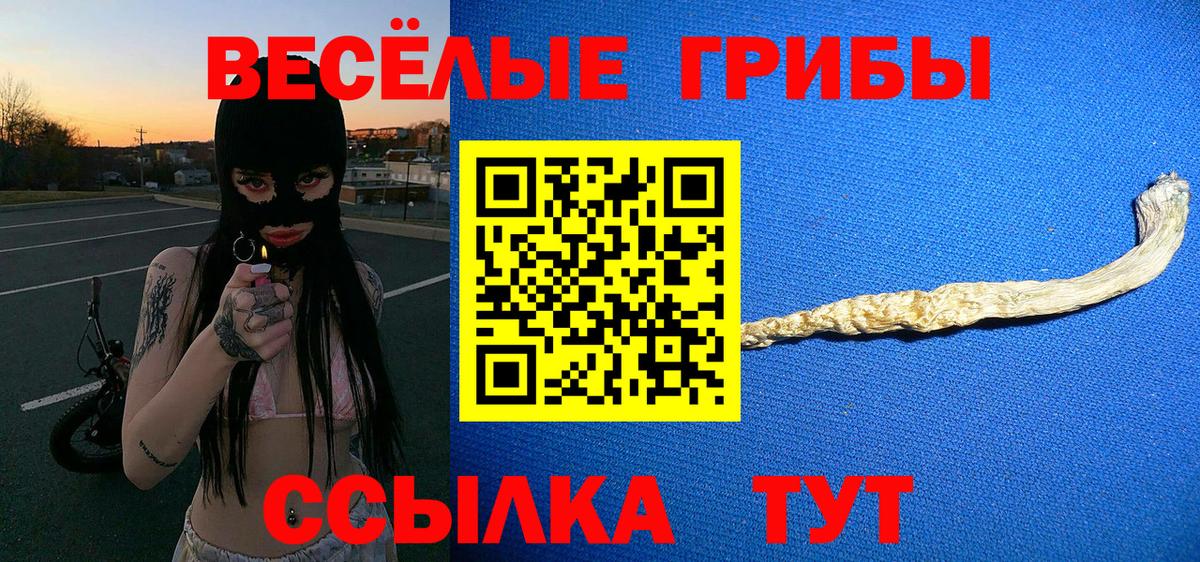 Горно-Алтайск  Псилоцибиновые грибы Cubensis  Вход с VPN 
